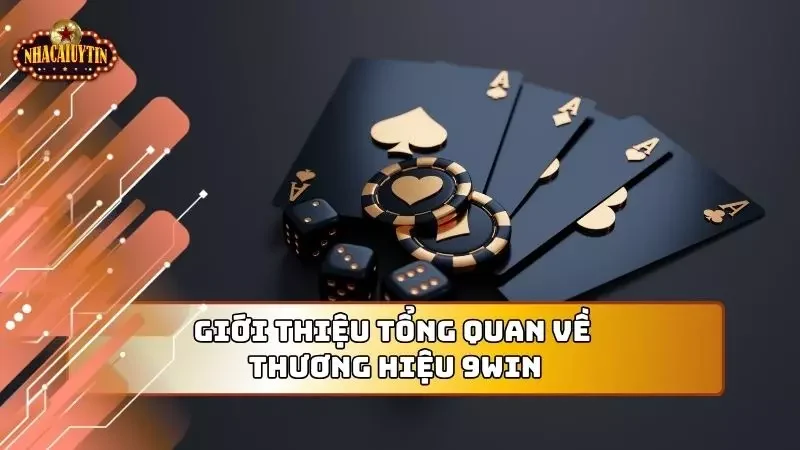 Cái nhìn tổng quan nhất về nhà cái newbie cần biết