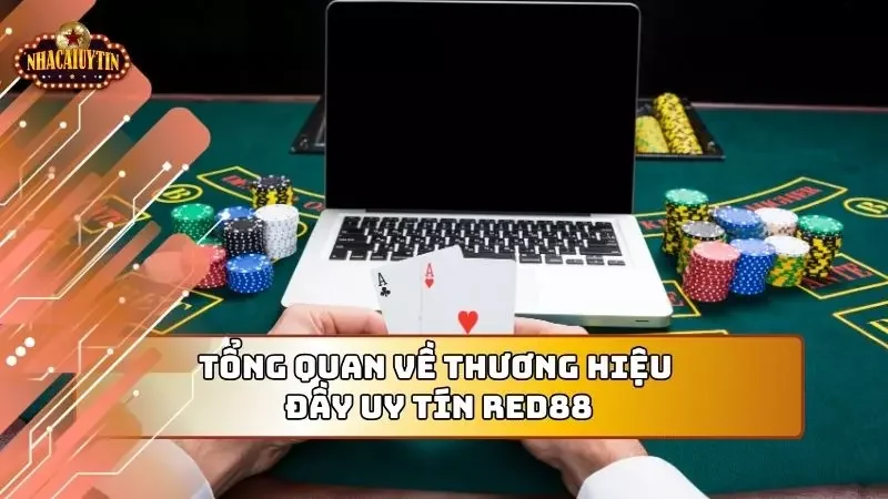 Cung cấp thông tin sơ lược về sân chơi đầy đẳng cấp