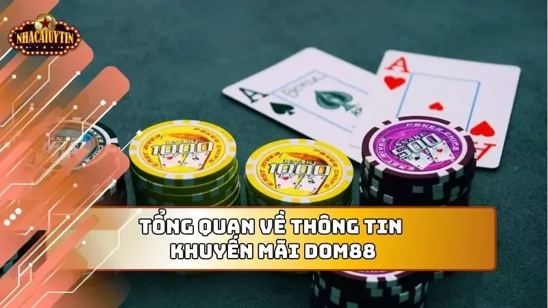 Cái nhìn tổng quan về khuyến mãi tại thương hiệu