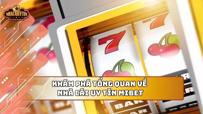 Tổng quan thông tin về nhà cái đầy uy tín này